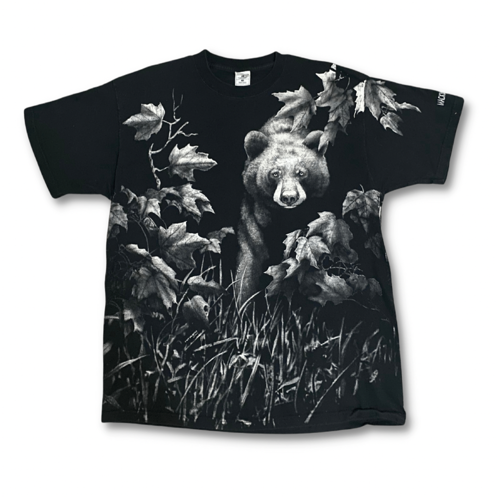 Image of Bear in the Wild